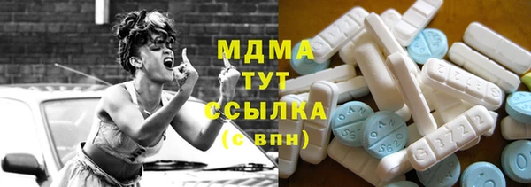PSILOCYBIN Горняк