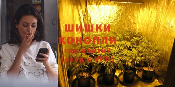 PSILOCYBIN Горняк